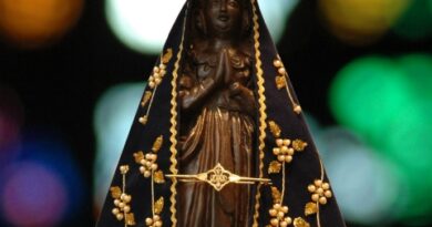 Nossa Senhora Aparecida: 95 anos da padroeira do Brasil; entenda